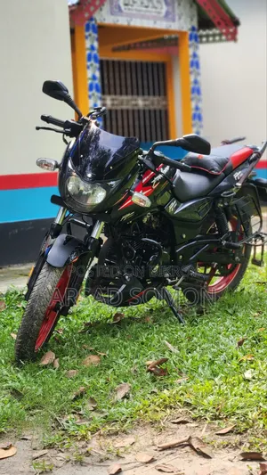 Bajaj Pulsar 150 2024 Black