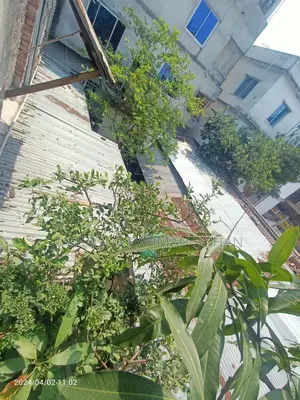 9 Bedroom House in Khulna Sadar for Sale