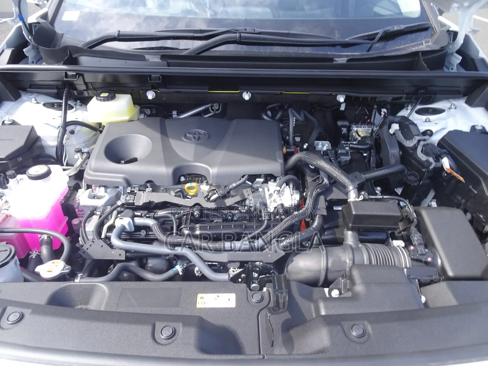 New Toyota RAV4 LE 2026 Pearl