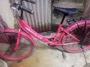 Algemirec Ladies cycle
