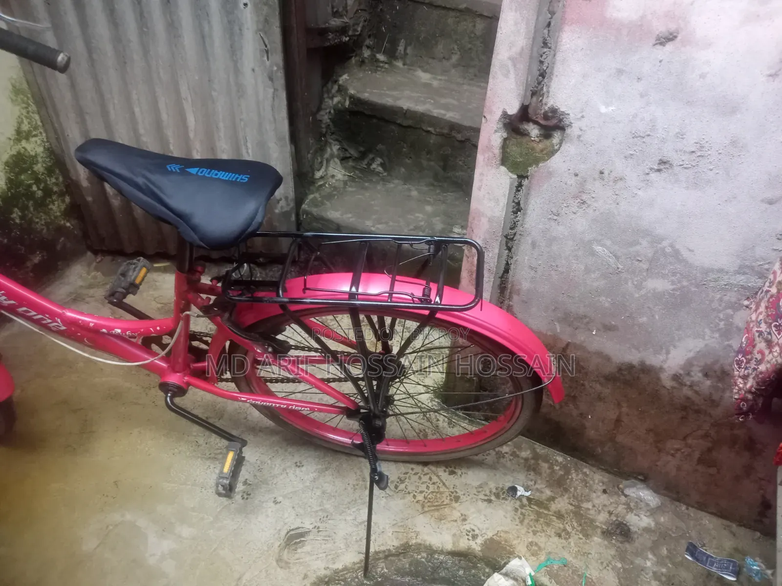 Algemirec Ladies cycle