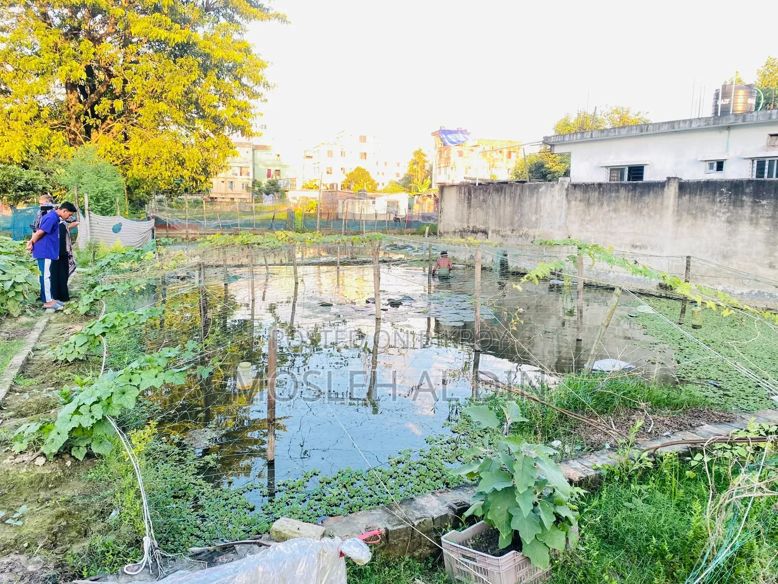 Land for sale in Halishahar Abbaspara