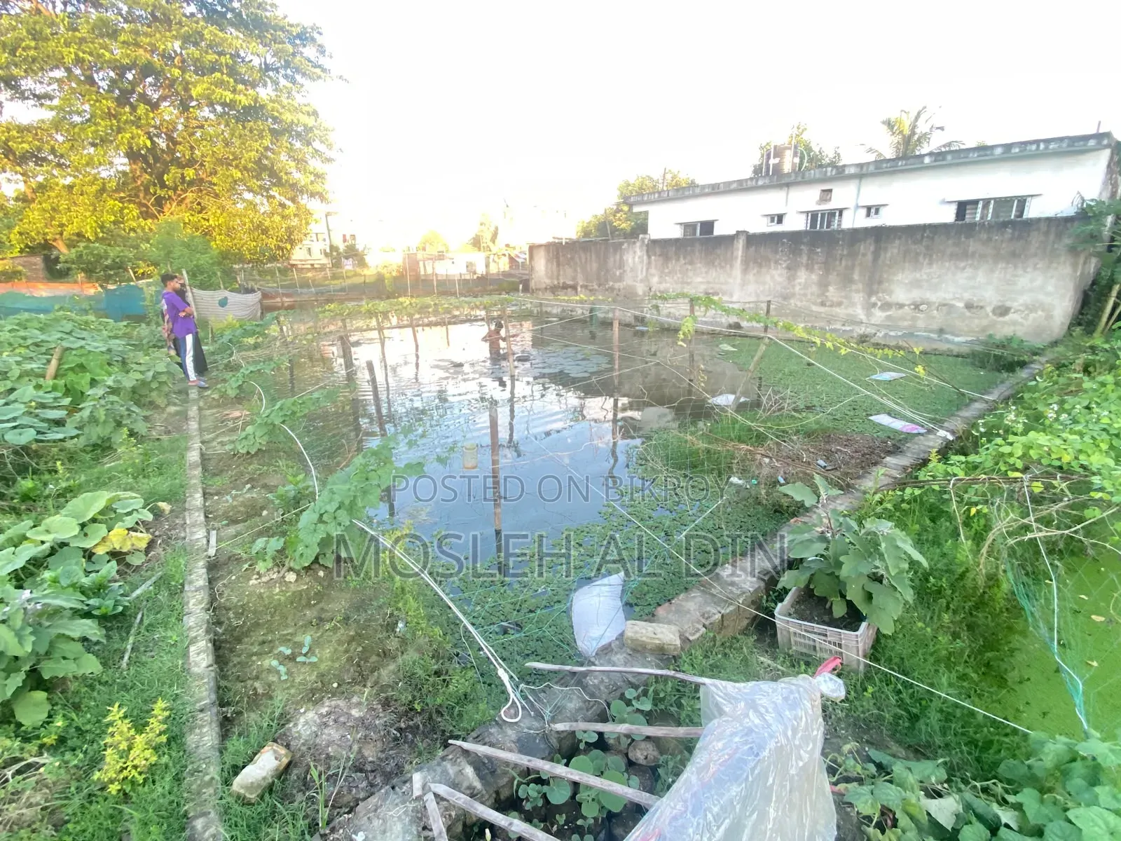 Land for sale in Halishahar Abbaspara