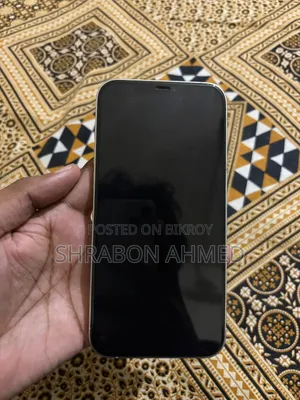 Apple iPhone 12 Pro Max 256 GB Rose Gold