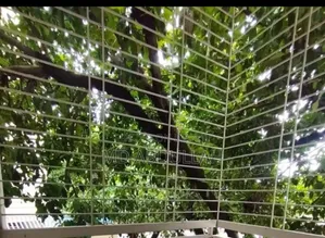 3-Bedroom Apartment in B Block, Mirpur for Sale