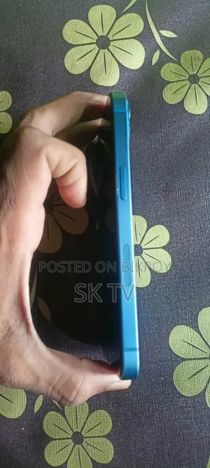 অ্যাপল আইফোন ১৩ ১২৮ জিবি নীল