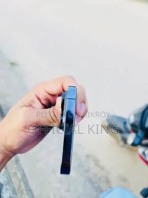 অ্যাপল আইফোন ১৪ প্রো ম্যাক্স ২৫৬ জিবি পার্পল