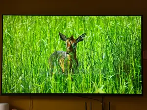 Sony Bravia Xr 65" A80j Oled Google TV