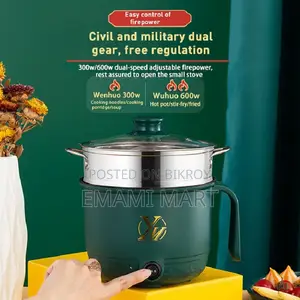 Wenhuo Mini Electric Multifunction Rice Cooker - Green