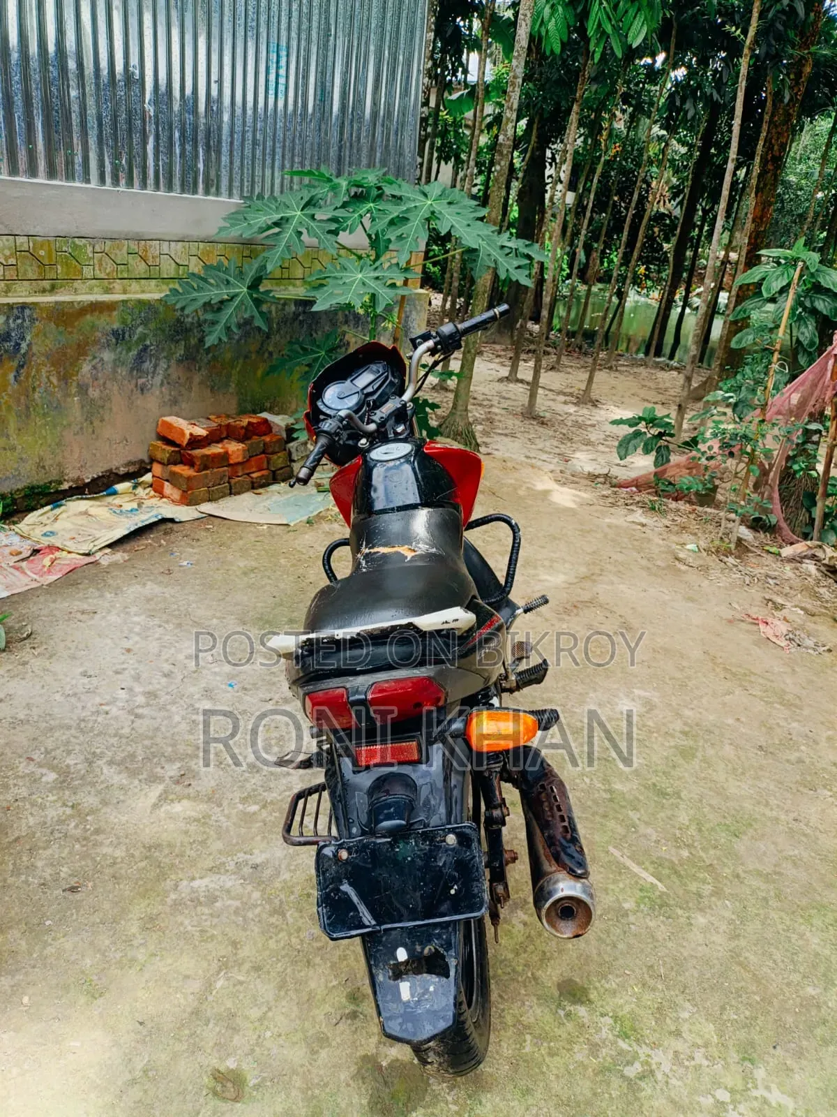 TVS 2011 Red