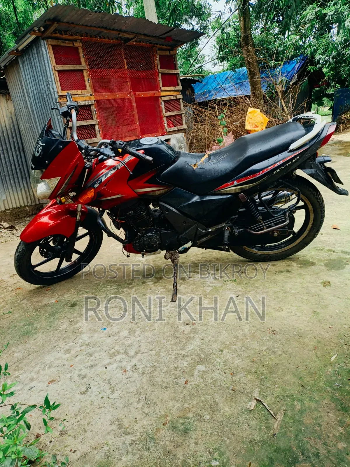 TVS 2011 Red