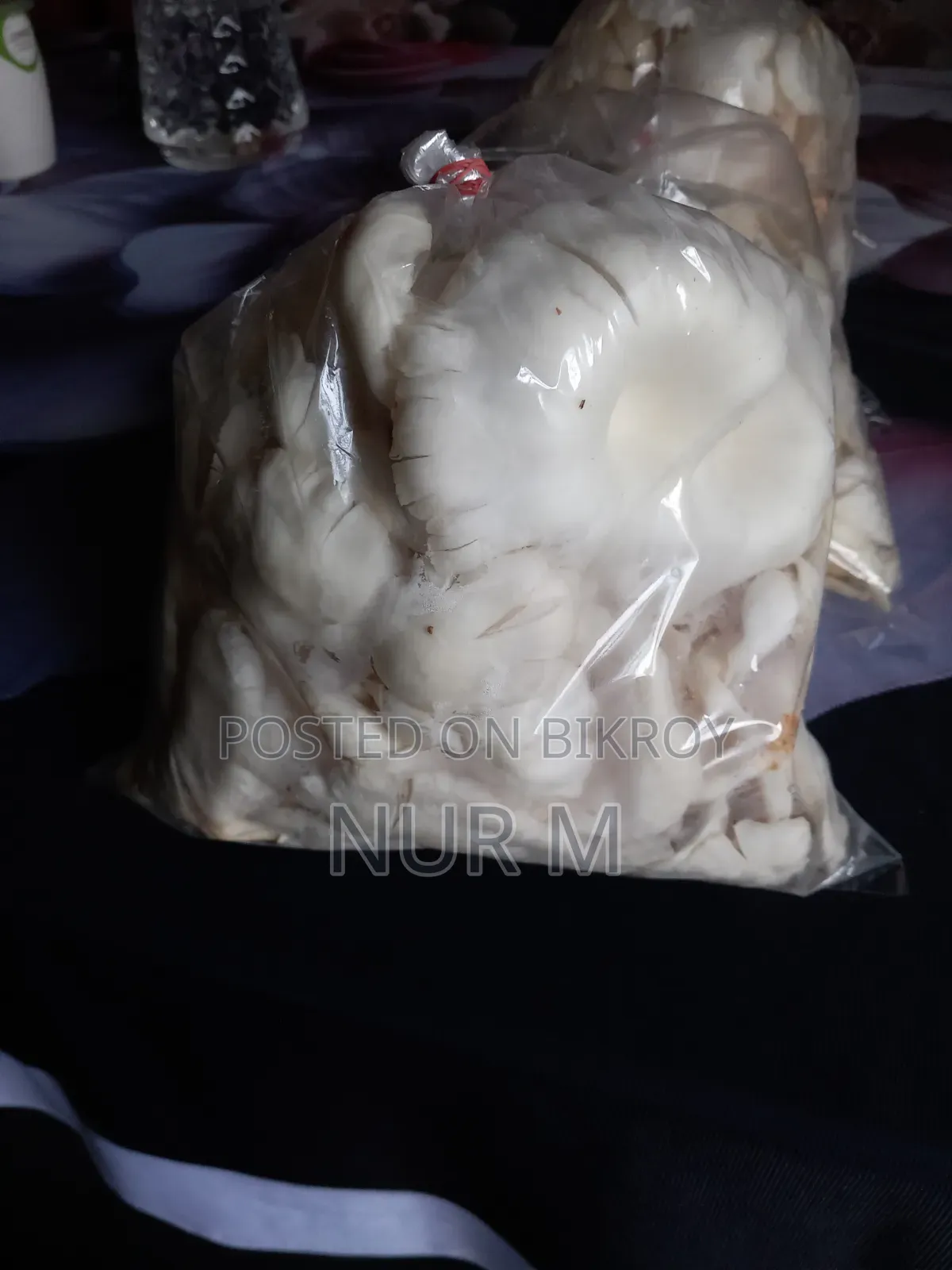 Mushtoom (Oyster)