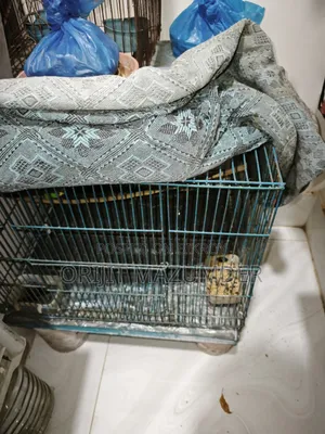 বাটরিগার খাঁচা সহ