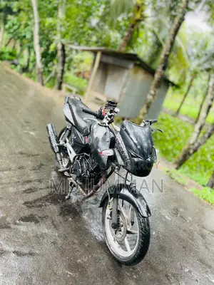 Bajaj Pulsar 150 2008 Black
