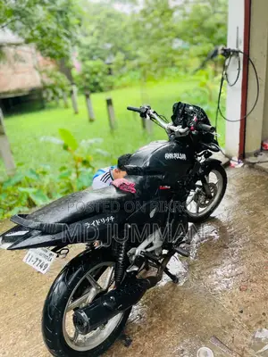 Bajaj Pulsar 150 2008 Black