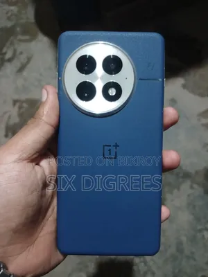 ওয়ানপ্লাস ১৩ ৫১২ জিবি নীল