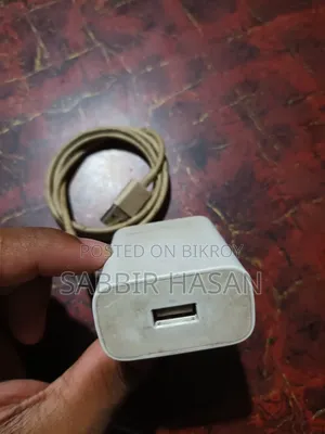 Vivo 10 Watt Original Type B Charger