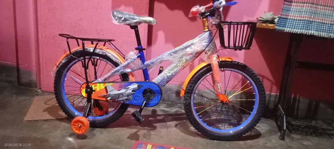 Phoenix 20" Bicycle