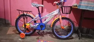Phoenix 20" Bicycle