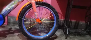 Phoenix 20" Bicycle