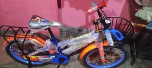 Phoenix 20" Bicycle