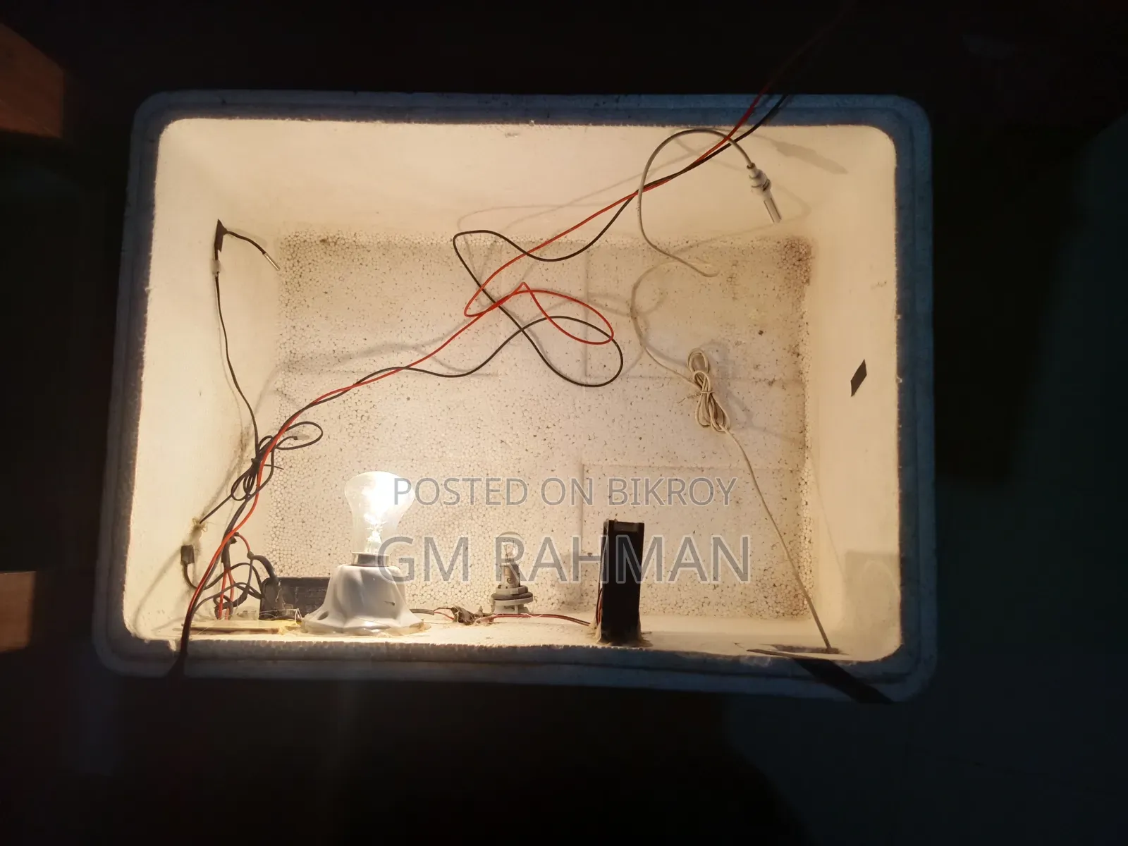 Semi-Auto AC-DC Incubator for 80-100 Eggs for Sale