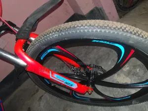 MTB Core GIO 300