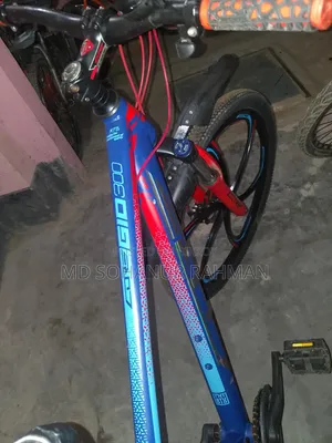 MTB Core GIO 300