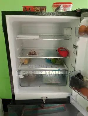 2025 Model Singer Fridge