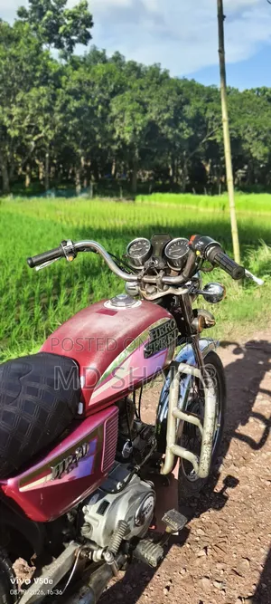 Hero 2010 Red