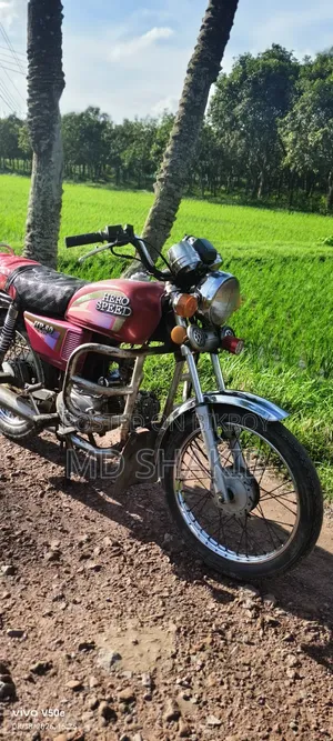 Hero 2010 Red