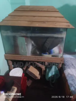 Fish Aquarium.