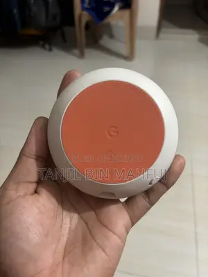 গুগল হোম মিনি