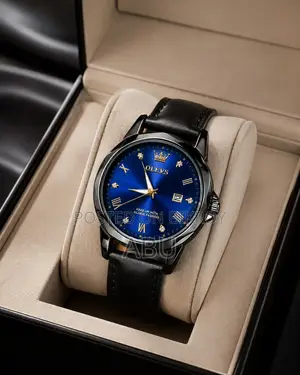 OLEVS Luxury Men's Watch - Brand New (1 Year Warranty)