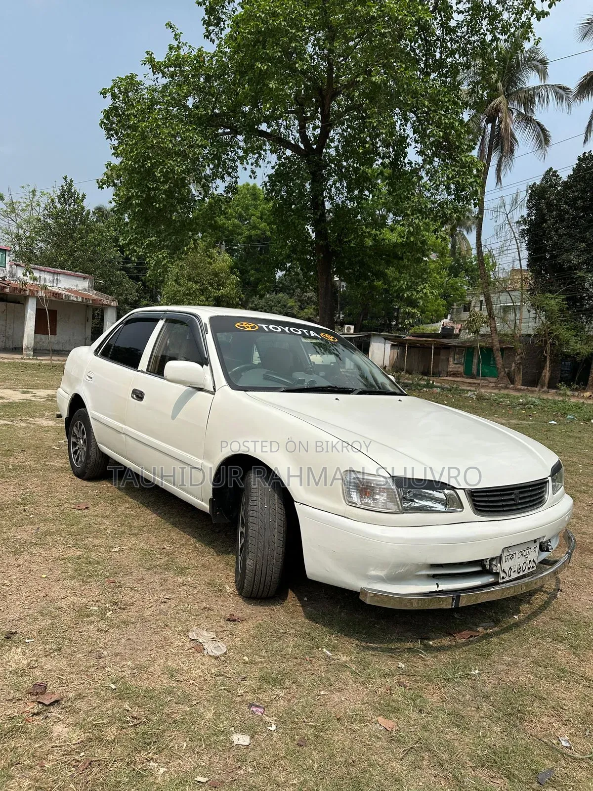Toyota Corolla 2000 Pearl