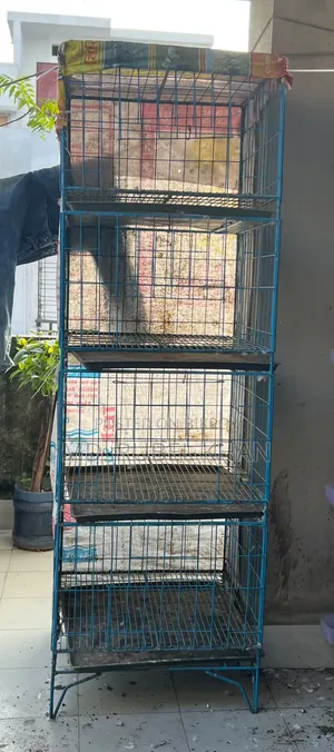 খাঁচা ২৪/২৪, ৪ তলা