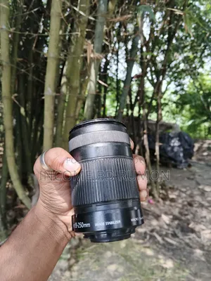 Canon 55 250mm Zoom Lens