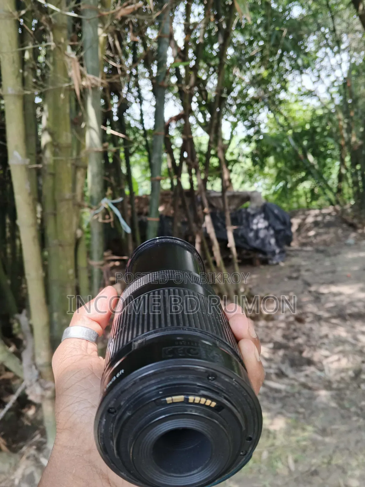 Canon 55 250mm Zoom Lens