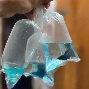 হাফমুন বেটা