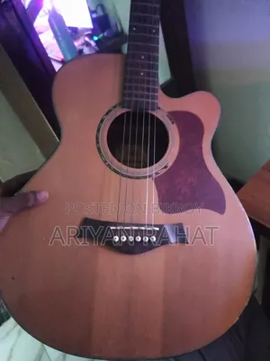 Acoustic Guitar, Guilliani