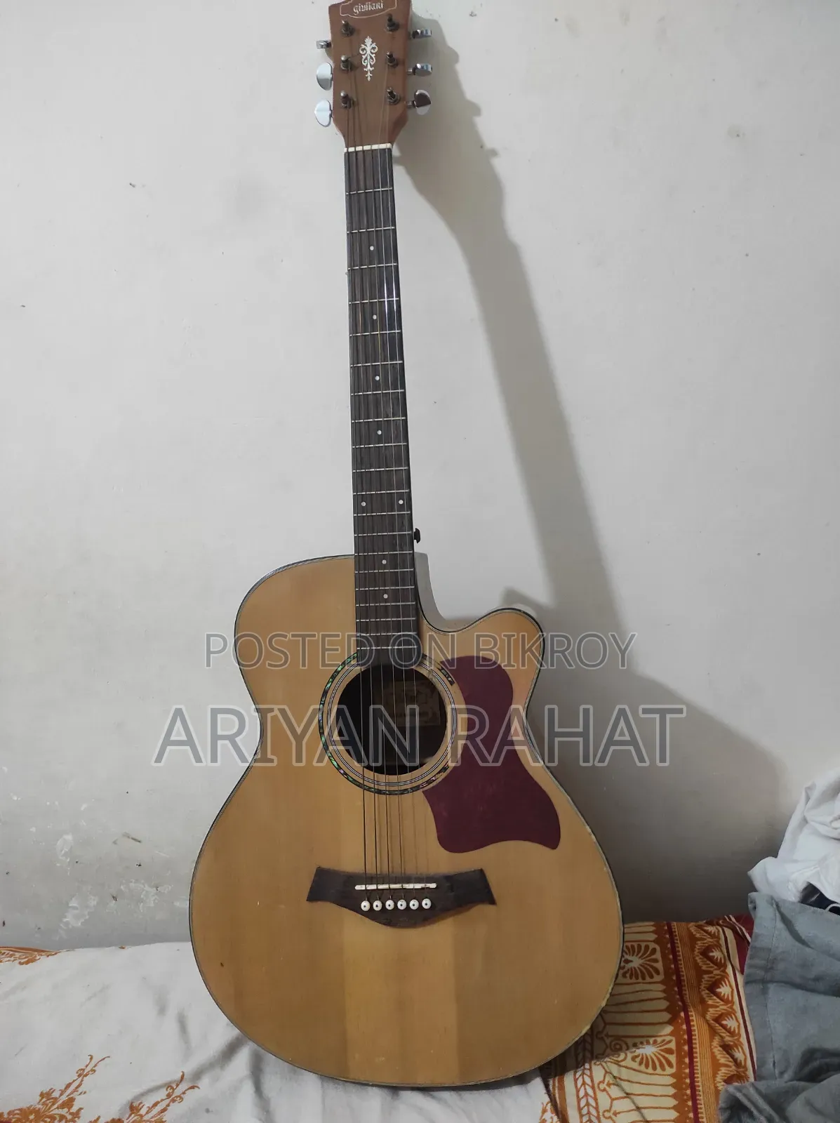 Acoustic Guitar, Guilliani
