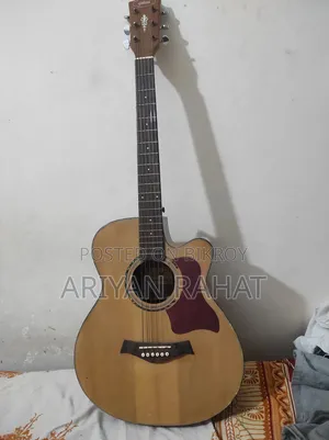 Acoustic Guitar, Guilliani