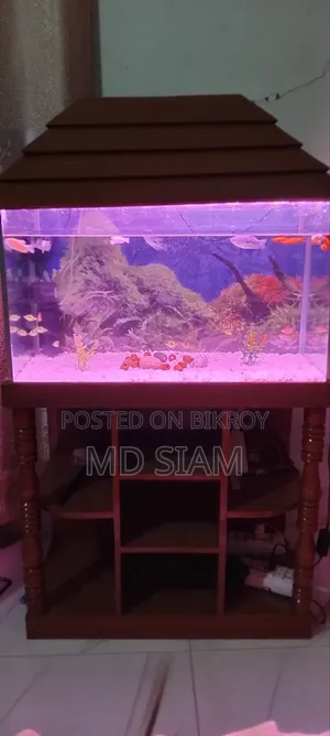 Fish Aquarium