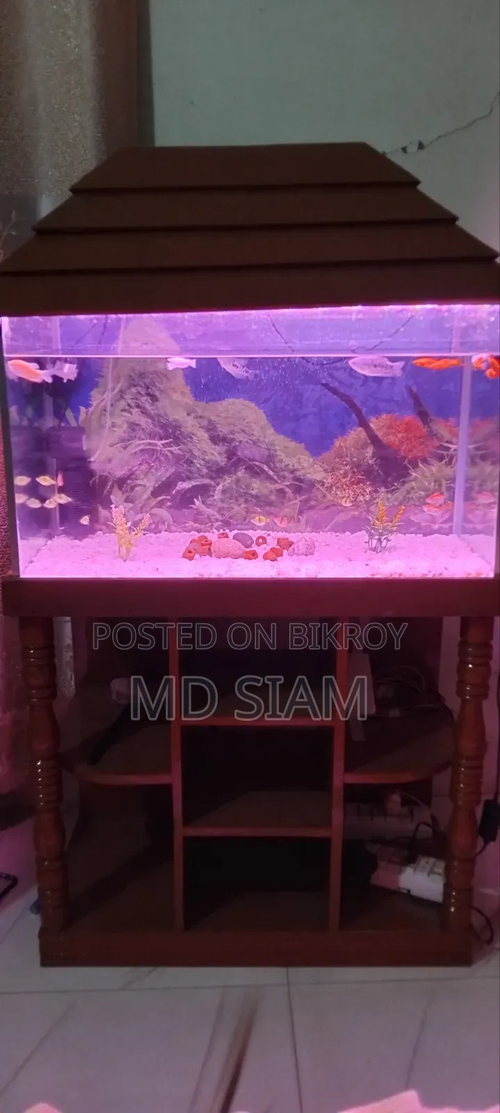 Fish Aquarium