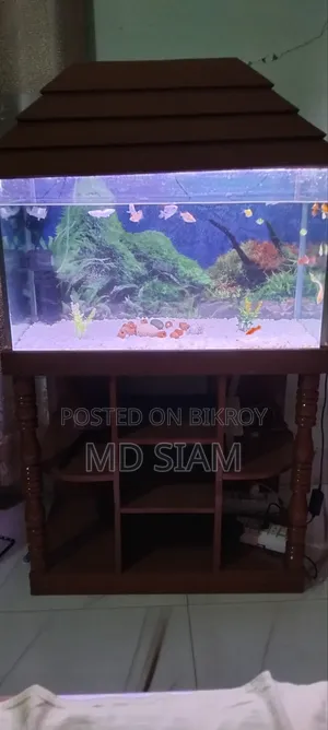 Fish Aquarium