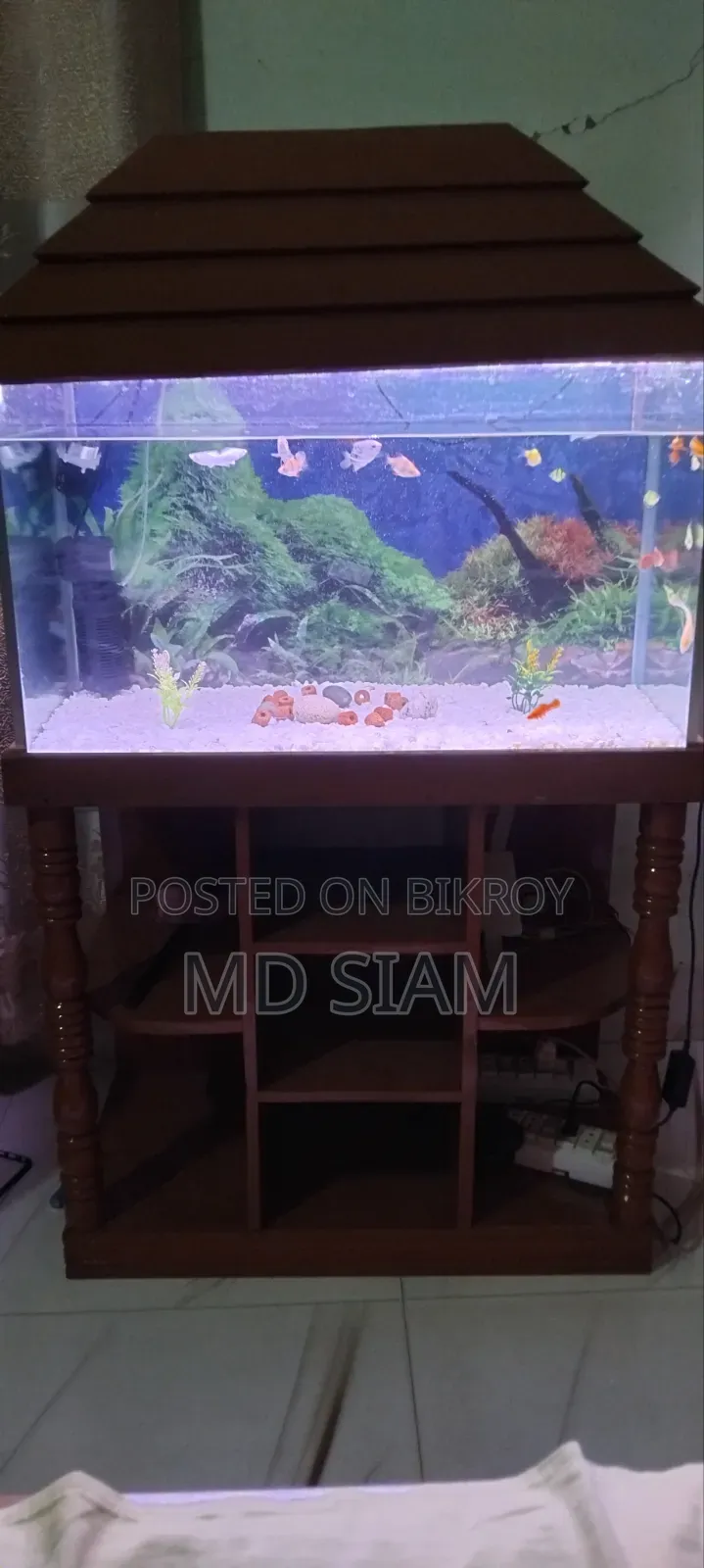 Fish Aquarium