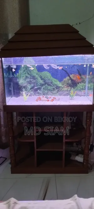 Fish Aquarium
