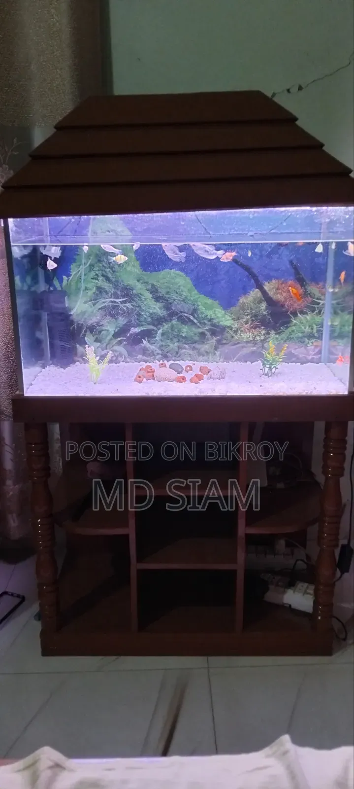 Fish Aquarium