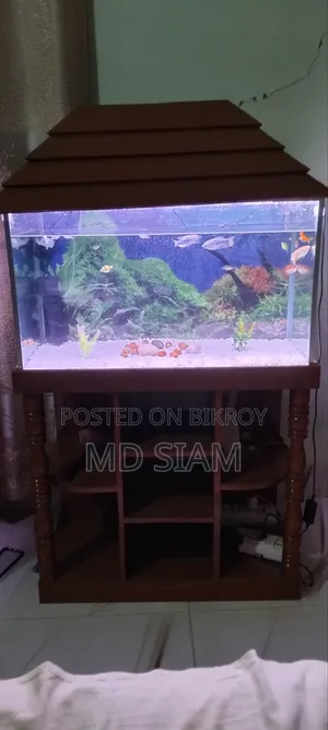 Fish Aquarium