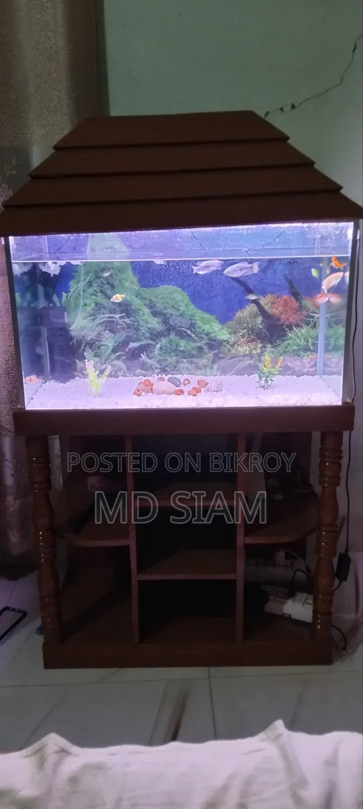 Fish Aquarium